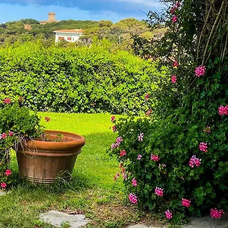 דירה Your By The Sea Pool & Garden *